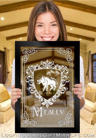 Custom design for Sean M. - 14" x 20" Meally shield