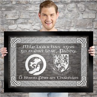 Custom: P Mc re. Paddy 33" x 23" Framed Etched Mirror